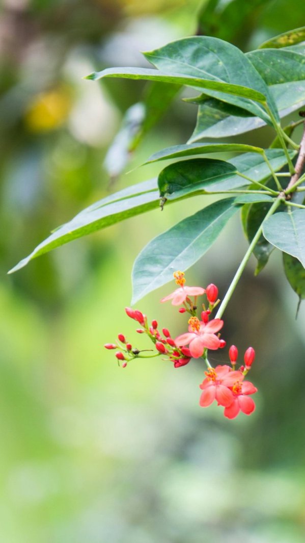 Moderne Anbautechnologien