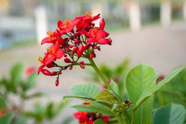 Qualitätsmanagement und Zertifizierung